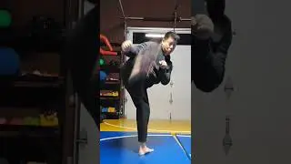 WTD 2 Step Kick Combination 24 (short)