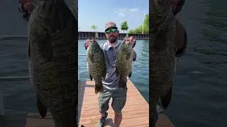 5lb 12oz and 4lb 10oz smallmouth from Sturgeon Bay, Wisconsin!! #smallmouth #fishing #bigfish