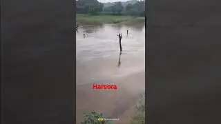 Harsora ki nadi