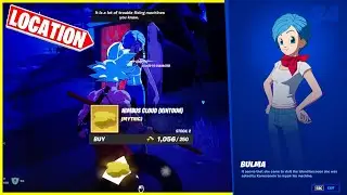 NPC 34 Location - BULMA | Fortnite Season 3