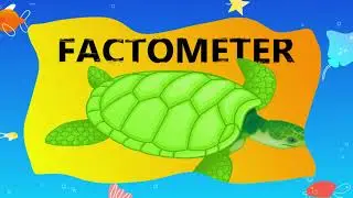 10 interesting facts about turtles#shorts#tortoise