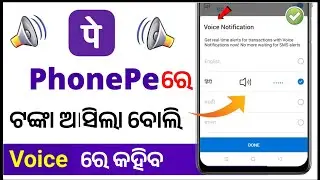 Phone Pe Voice Notification Kaise Chalu Kare Odia|| How To Enable Phone Pe Voice Alert
