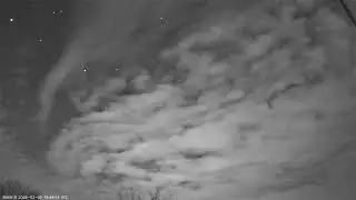 2026-02-06-RU0019-Кочеванчик