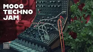 Techno jam with Moog DFAM, Subharmonicon & Mother-32