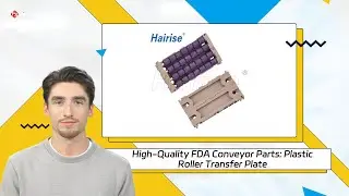 High-Quality FDA Conveyor Parts: Plastic Roller Transfer Plate
