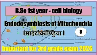 Endosymbiosis theory of mitochondria @MKclass09 