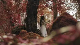 Rite of Thalia - Confession