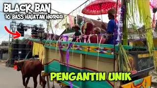 Viral..Iring iringan Pengantin Unik naik Cikar diarak keliling desa lewati Black Ban Hajatan Horeg 