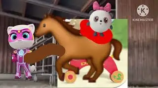 Horses ponys donkeys runs