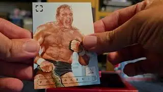 2024 Panini WWE Photogenic Hobby Box Break