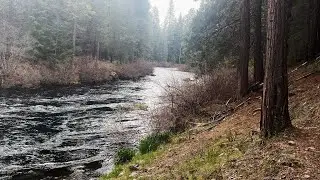 (4K UHD) HIKING HIGHLIGHTS - West Metolius River Trail in Spring - A Fan of This Wonderland Zone!