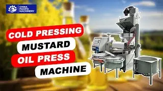 Cold Press Mustard Oil Press Machine|Seed Oil Extraction Machine|Screw  Canola Oil Expeller