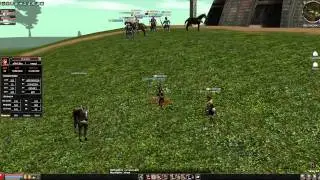 Metin2.Us - rynaqui + Sakura = ?