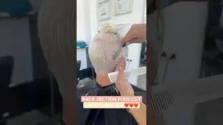 BACK SECTION LAYERS CREATION PIXIE BOB HAIRCUT! 🤩❤️✨#haircut #razorhaircut #shorthaircut #pixiebob