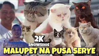 MALUPITAN NA NAMAN SA GROTTO PUSA SERYE | JULY 07, 2024
