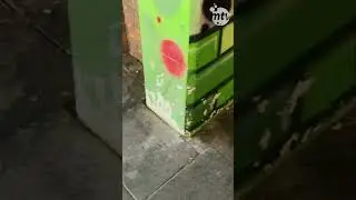 Bahnhaltestelle Hansaring in K&ouml;ln: Wir handeln! 🚉🧹