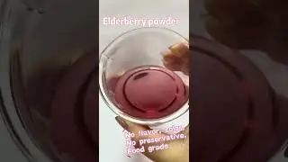 Elderberry powder#elderberry #foodadditives #shorts #factory #berry