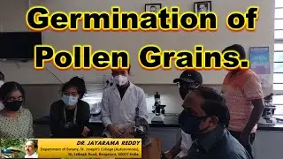 Germination of Pollen Grains| BSC Botany Practicals| St. Joseph's College| Admissions| Bengaluru