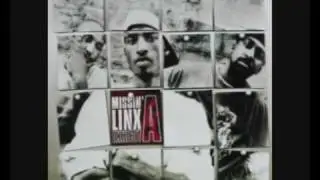 Missin Linx - Family Ties