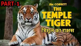 (PART-1) Temple Tiger | The Monster of Trishul #jimcorbett #corbett #wildlife #tigers