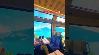 Beautiful Swiss Train Journey 🚆 🇨🇭 #sbb #swisstrains #panoramicview #swissshorts #youtubeshorts25