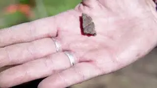 Northeast Archaeology Lab with Dr. Bonnie Newsom