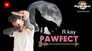 PAWFECT  ( Full Video ) । R kay । New Punjabi song 2024 ।। Tha Harry Music