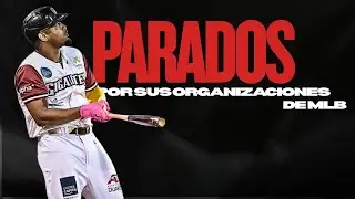 PROSPECTOS DETENIDOS POR SUS ORGANIZACIONES DE MLB | JBR SPORTS | LIDOM 2025-26 