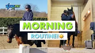 MORNING ROUTINE IN MANEGGIO! 🐴🥰