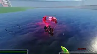 Pro Fight | UCD:R
