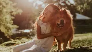 Yard Mines Pet Waste Solutions