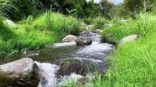 Tranquil River Flow &ndash; 10 Hours of Water ASMR  - Stress, Anxiety Relief & Meditation Sounds