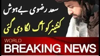 What is Happening in Mureedkay? TLP March and Operation