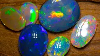 Opal results from the live at color central