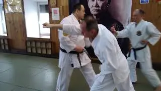 Goju Ryu karate kata Tensho / application bunkai with two partner