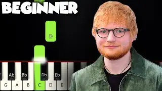 Photograph - Ed Sheeran | BEGINNER PIANO TUTORIAL + SHEET MUSIC by Betacustic