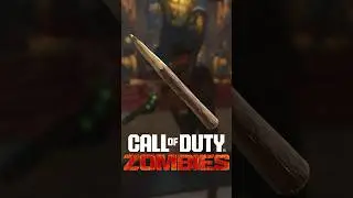 THE MOST RANDOM MELEE WEAPON IN CALL OF DUTY ZOMBIES HISTORY!!!