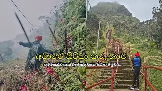 අවාරේ සිරිපා කරුණාව 🌸 | රාත්‍රී නවාතැන මාමා කඩේ 🍃#awaresiripa #siripadaya #travel #short