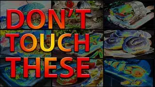 TOP 10 CANCER CAUSING FOODS YOU EAT EVERYDAY