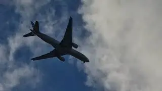 Plane's from Stueys garden