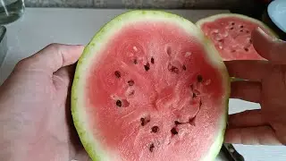 Harvesting watermelons and melons in a cold summer.  Harvesting carrots and beets. First hard frost