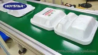 3 colour foam box printing machine  #foambox #printing #foodfoambox
