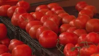 Tomato prices could jump this week due to tariffs