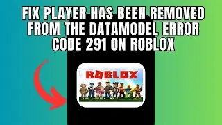 Fix Player has been removed from the DataModel Error Code  291 on Roblox