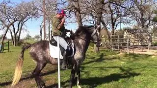Valiente WE Mar2018