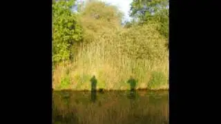 Sander en Leonard vissen in Woudbloem
