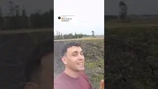 cuando sembrar choclos o ma&iacute;z 🌽
