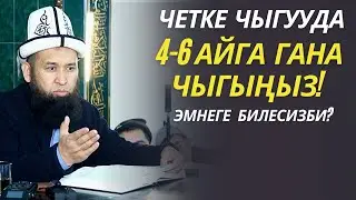 ЧЕТ ӨЛКӨГӨ ЧЫГУУДА 4-6 АЙГА ГАНА ЧЫГЫҢЫЗ! ЭМНЕГЕ БИЛЕСИЗБИ / СУРОО-ЖООП