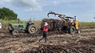 Loading Sugar Cane by Crab - Ethnographic Field School in Belize