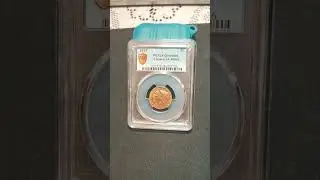 $5 Gold Coin (cleaned)